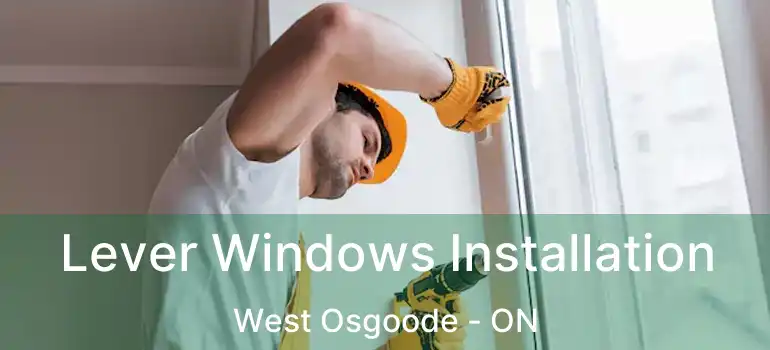 Lever Windows Installation West Osgoode - ON