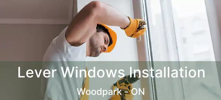 Lever Windows Installation Woodpark - ON
