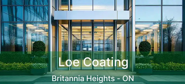 Loe Coating Britannia Heights - ON