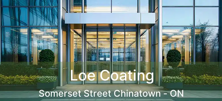 Loe Coating Somerset Street Chinatown - ON