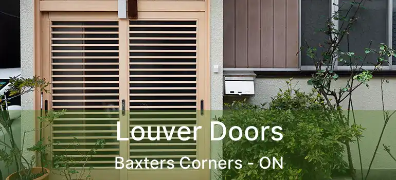 Louver Doors Baxters Corners - ON