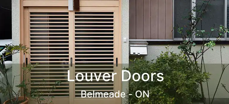  Louver Doors Belmeade - ON