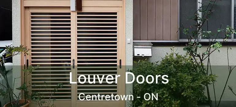  Louver Doors Centretown - ON