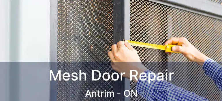 Mesh Door Repair Antrim - ON