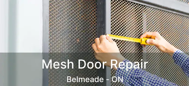 Mesh Door Repair Belmeade - ON