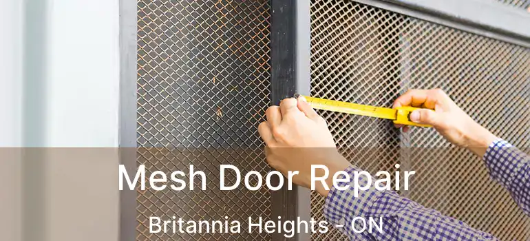 Mesh Door Repair Britannia Heights - ON