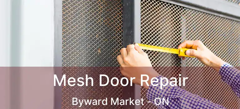Mesh Door Repair Byward Market - ON