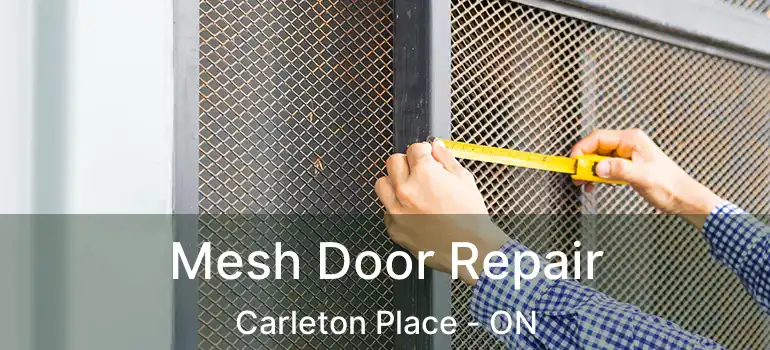 Mesh Door Repair Carleton Place - ON