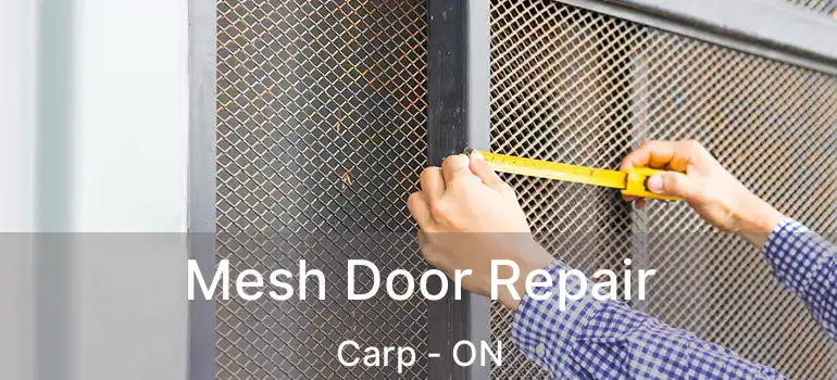  Mesh Door Repair Carp - ON
