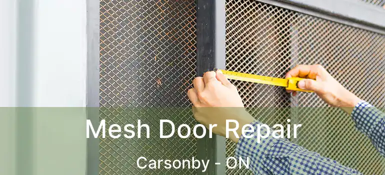  Mesh Door Repair Carsonby - ON