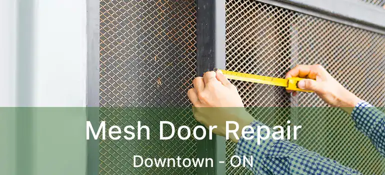 Mesh Door Repair Downtown - ON