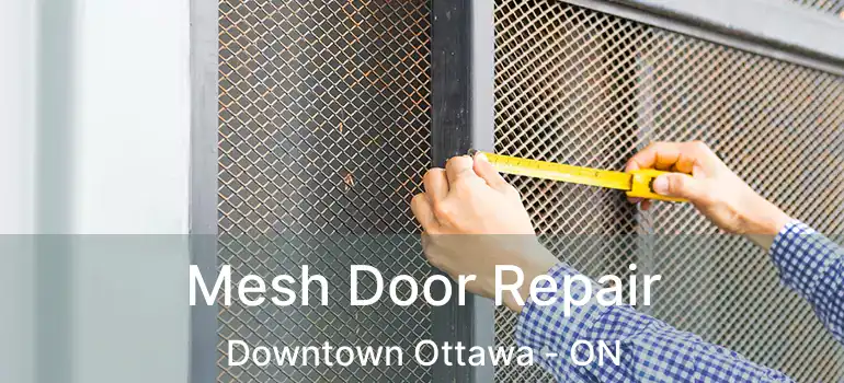 Mesh Door Repair Downtown Ottawa - ON