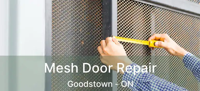 Mesh Door Repair Goodstown - ON