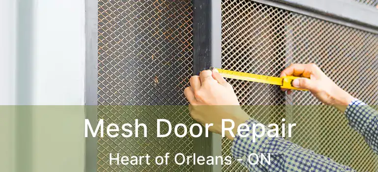  Mesh Door Repair Heart of Orleans - ON