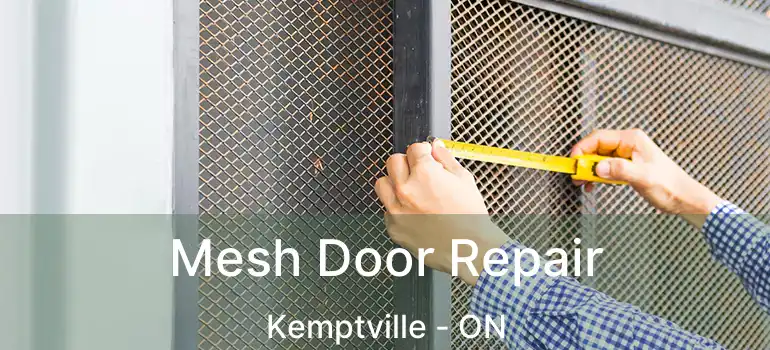 Mesh Door Repair Kemptville - ON