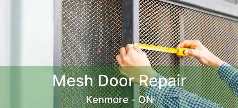 Mesh Door Repair Kenmore - ON