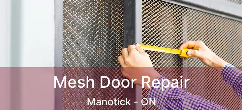 Mesh Door Repair Manotick - ON