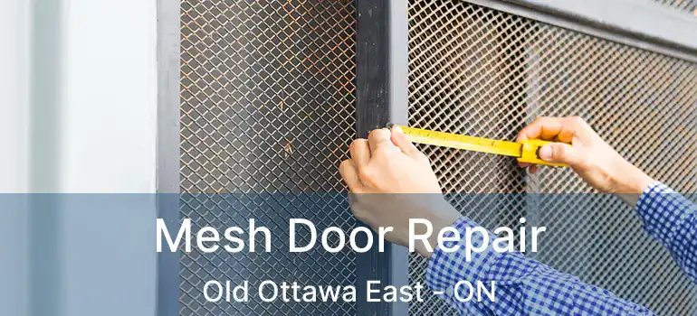 Mesh Door Repair Old Ottawa East - ON