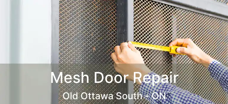 Mesh Door Repair Old Ottawa South - ON