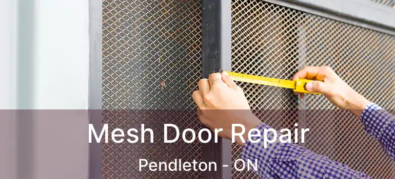 Mesh Door Repair Pendleton - ON