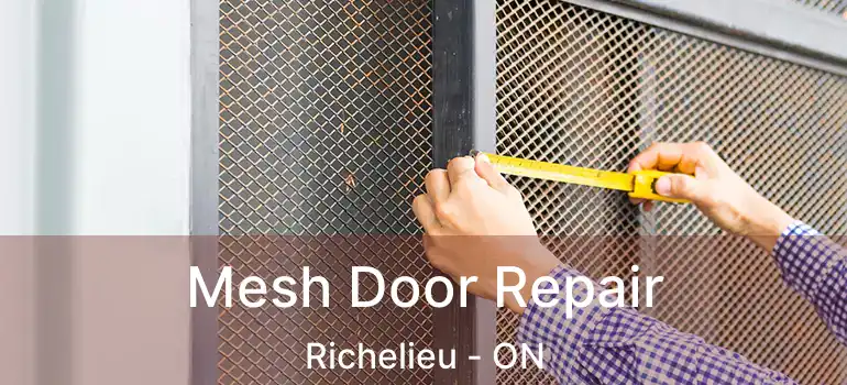 Mesh Door Repair Richelieu - ON