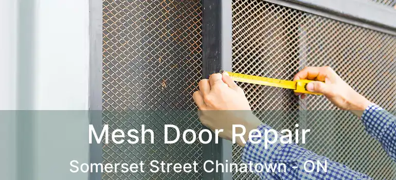 Mesh Door Repair Somerset Street Chinatown - ON