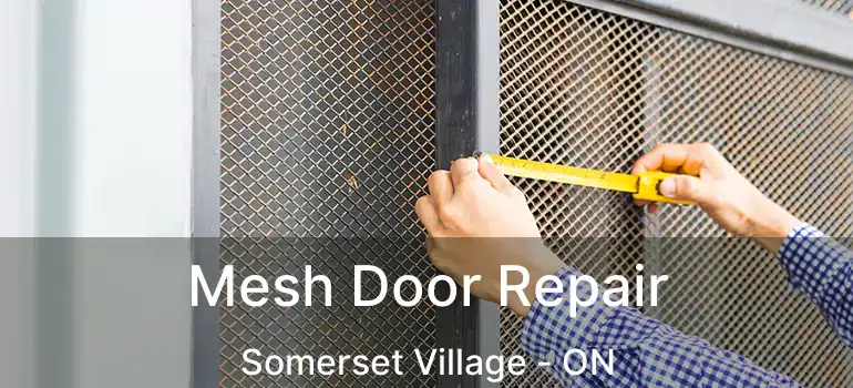 Mesh Door Repair Somerset Village - ON