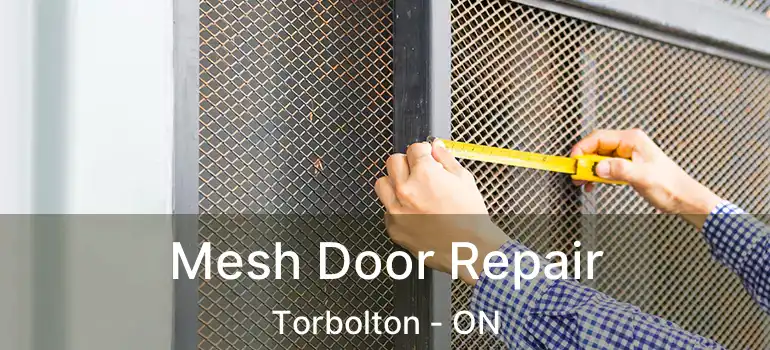 Mesh Door Repair Torbolton - ON