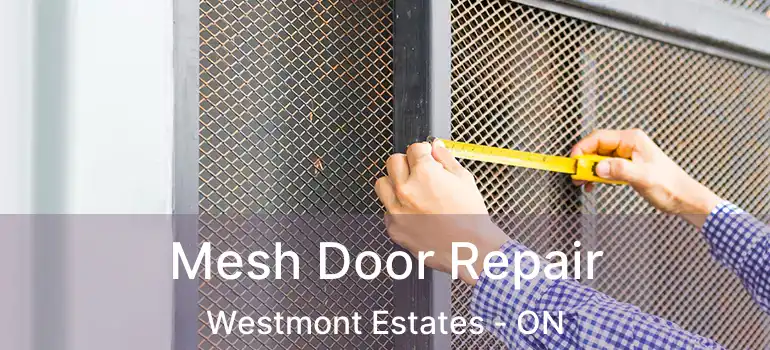 Mesh Door Repair Westmont Estates - ON