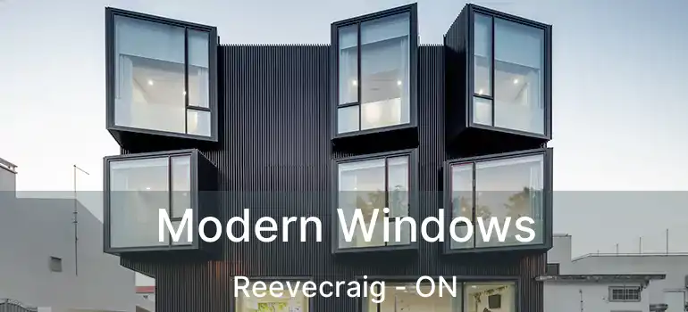 Modern Windows Reevecraig - ON