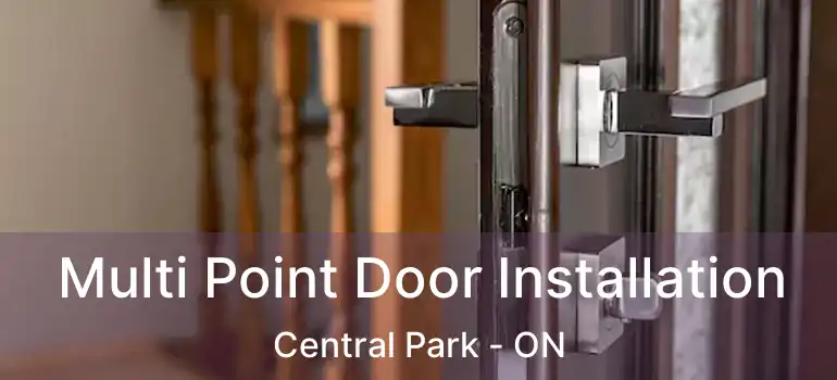 Multi Point Door Installation Central Park - ON