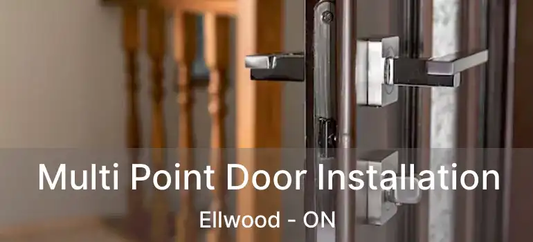  Multi Point Door Installation Ellwood - ON