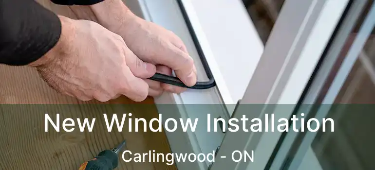 New Window Installation Carlingwood - ON