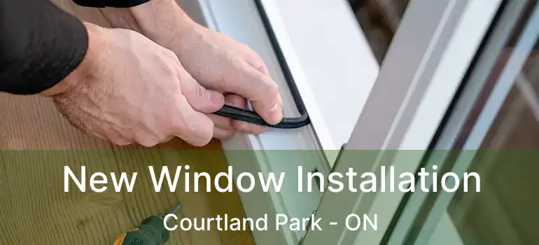 New Window Installation Courtland Park - ON