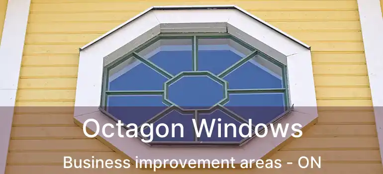  Octagon Windows Business improvement areas - ON