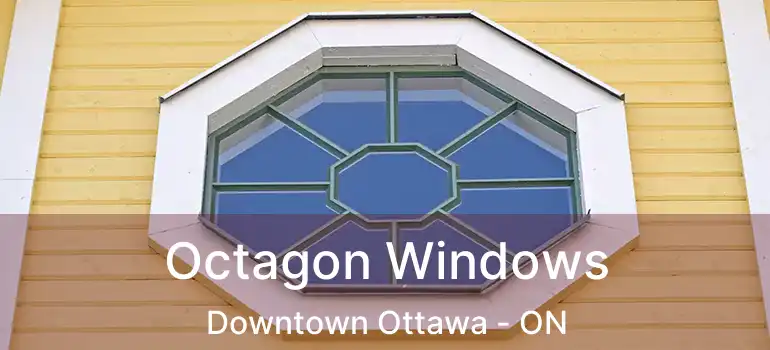  Octagon Windows Downtown Ottawa - ON