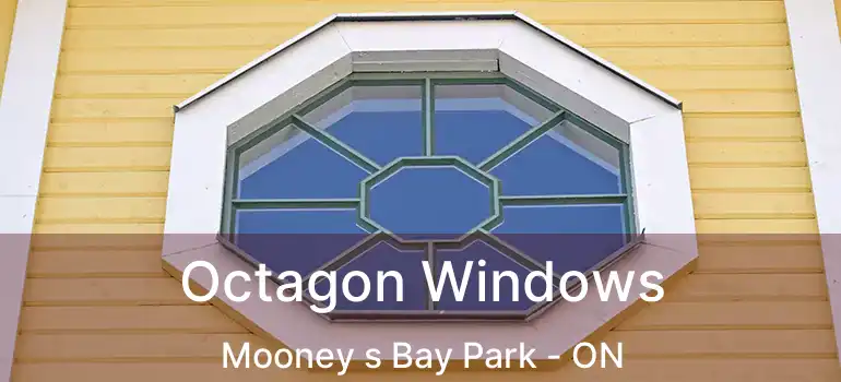 Octagon Windows Mooney s Bay Park - ON