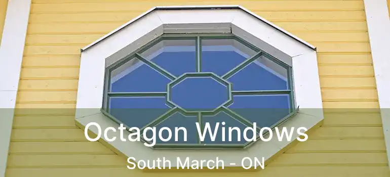  Octagon Windows South March - ON