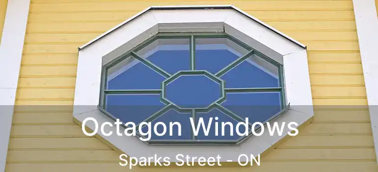  Octagon Windows Sparks Street - ON