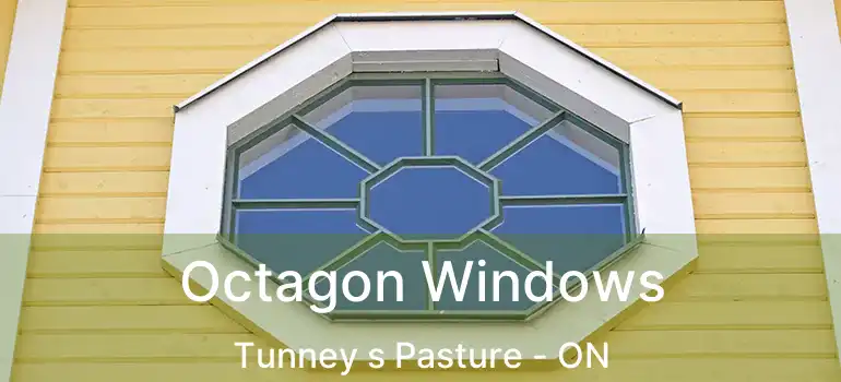  Octagon Windows Tunney s Pasture - ON