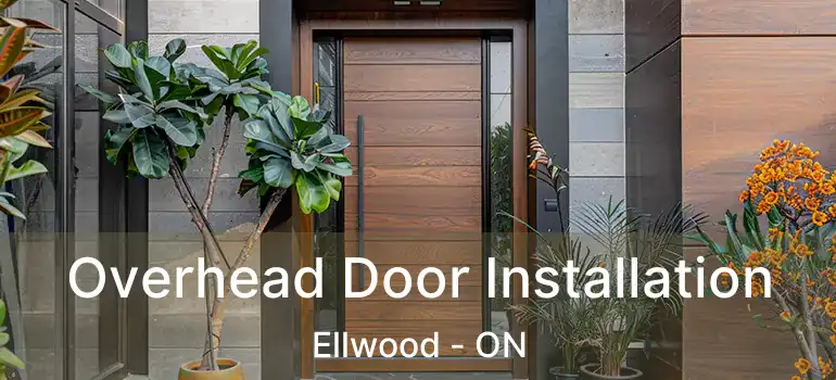 Overhead Door Installation Ellwood - ON