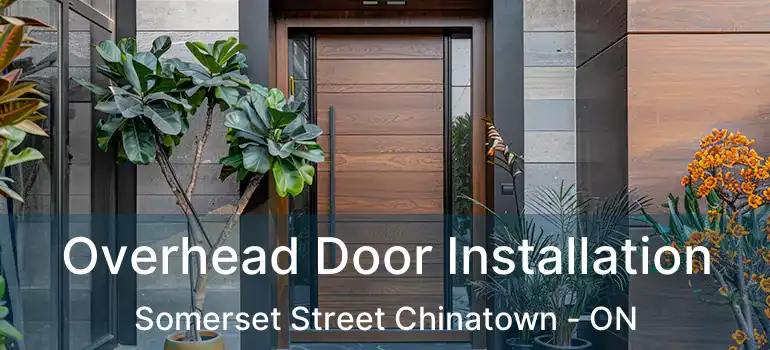 Overhead Door Installation Somerset Street Chinatown - ON