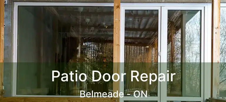  Patio Door Repair Belmeade - ON