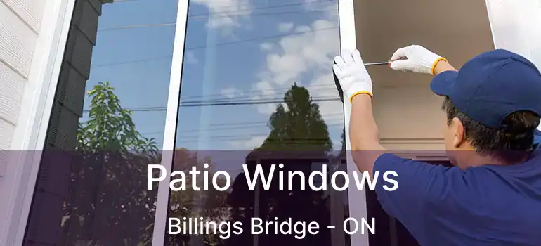  Patio Windows Billings Bridge - ON