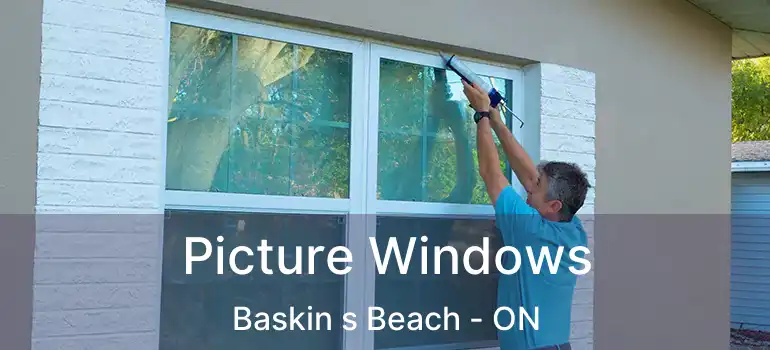 Picture Windows Baskin s Beach - ON