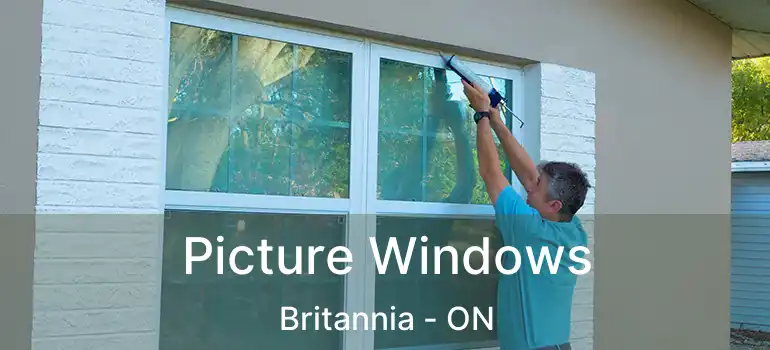  Picture Windows Britannia - ON