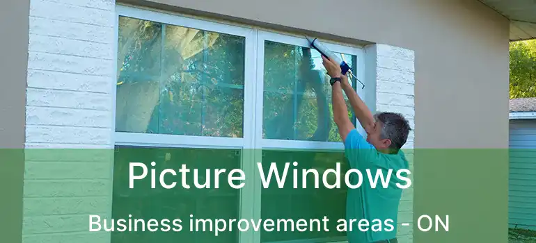 Picture Windows Business improvement areas - ON