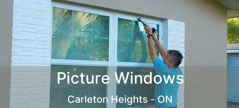  Picture Windows Carleton Heights - ON
