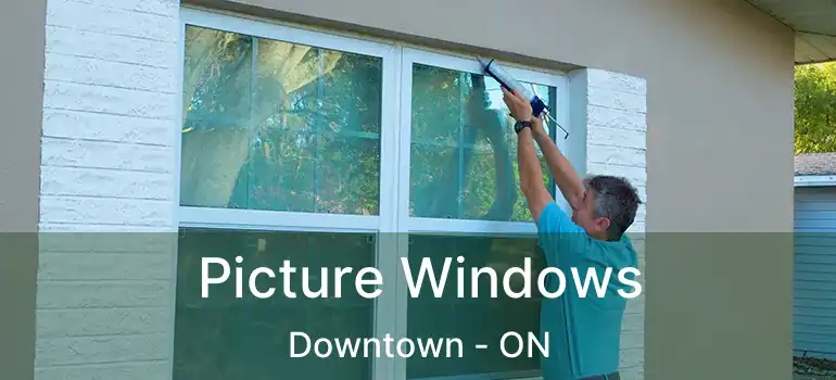  Picture Windows Downtown - ON