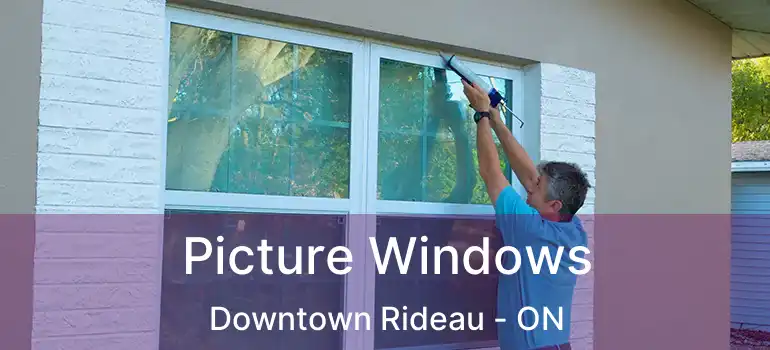 Picture Windows Downtown Rideau - ON
